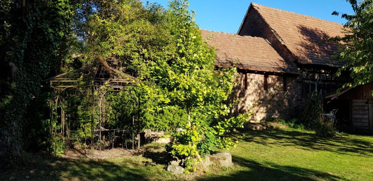 Gite A La Petite Fontaine-Plain Pied-Maison Alsacienne Renovee Avec Passion-4 Pers-4Nuitees Minimum Langensoultzbach Buitenkant foto