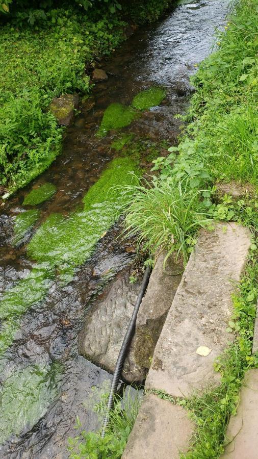 Gite A La Petite Fontaine-Plain Pied-Maison Alsacienne Renovee Avec Passion-4 Pers-4Nuitees Minimum Langensoultzbach Buitenkant foto