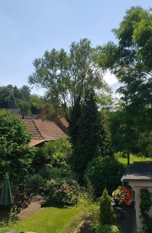 Gite A La Petite Fontaine-Plain Pied-Maison Alsacienne Renovee Avec Passion-4 Pers-4Nuitees Minimum Langensoultzbach Buitenkant foto