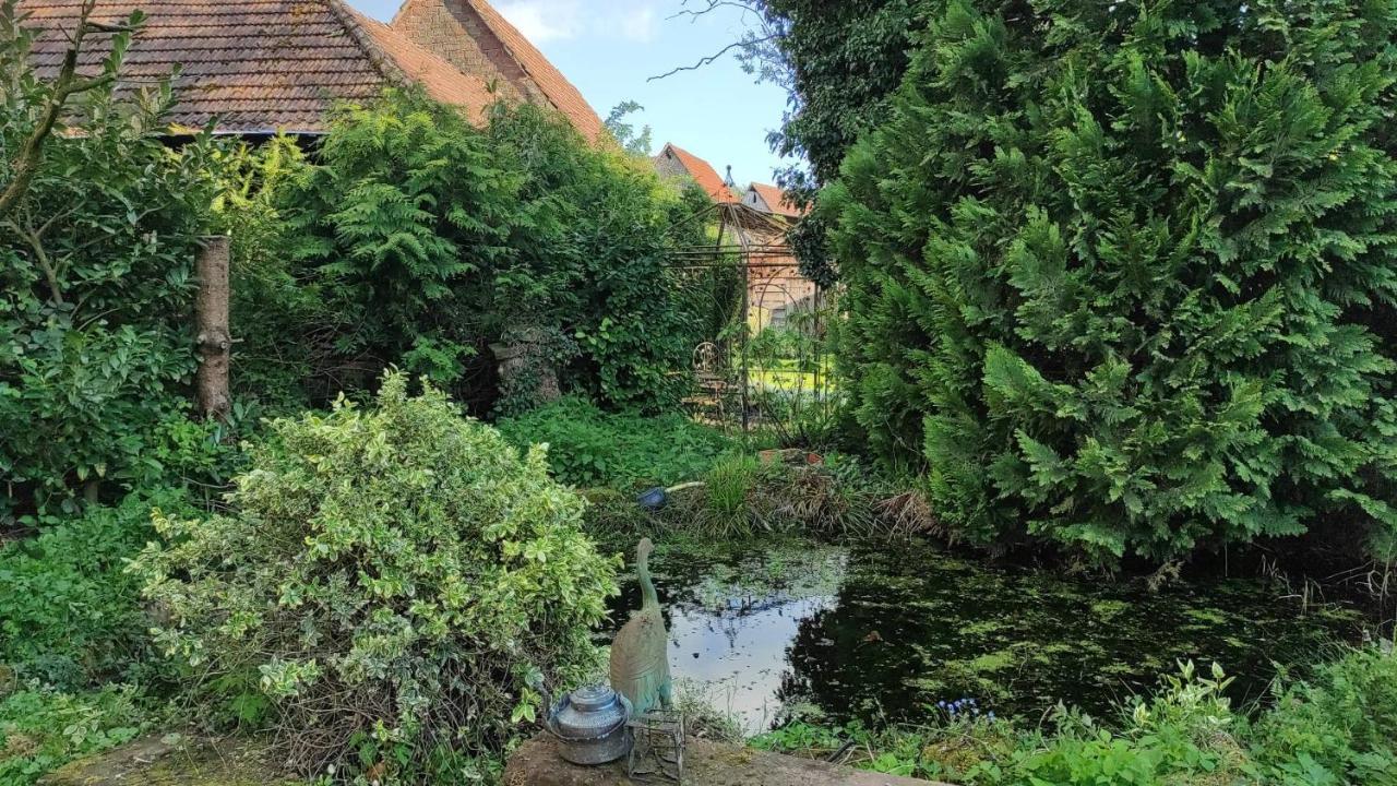 Gite A La Petite Fontaine-Plain Pied-Maison Alsacienne Renovee Avec Passion-4 Pers-4Nuitees Minimum Langensoultzbach Buitenkant foto
