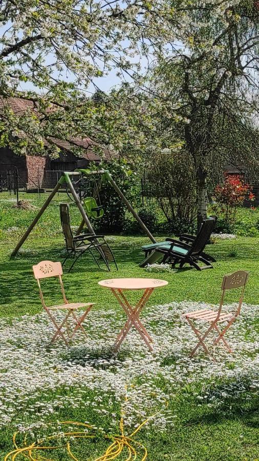 Gite A La Petite Fontaine-Plain Pied-Maison Alsacienne Renovee Avec Passion-4 Pers-4Nuitees Minimum Langensoultzbach Buitenkant foto